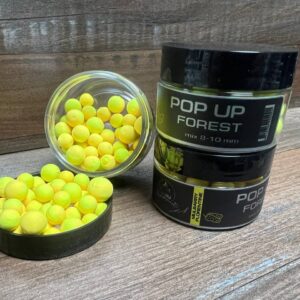 Mulberry Florentine 8-10 mm