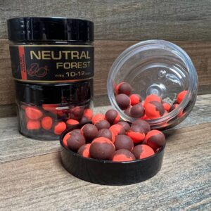 NEUTRAL FOREST Squid-Mango