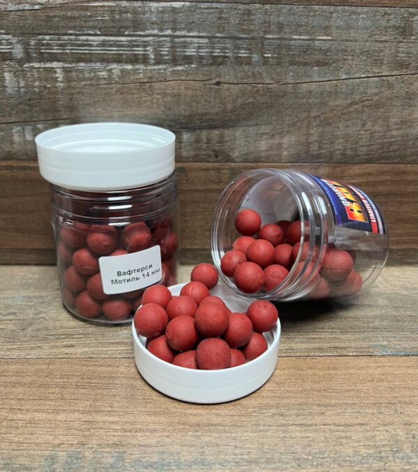DNIESTER BLOODWORM