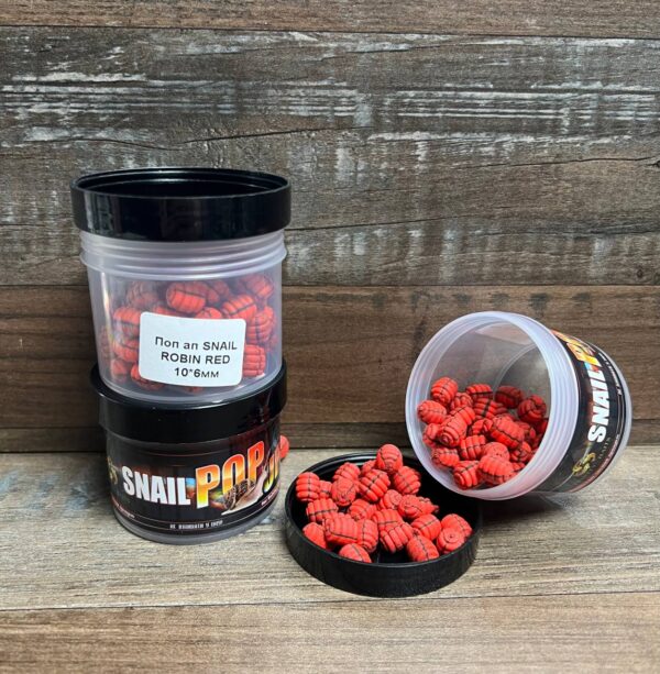 SNAIL ROBIN RED