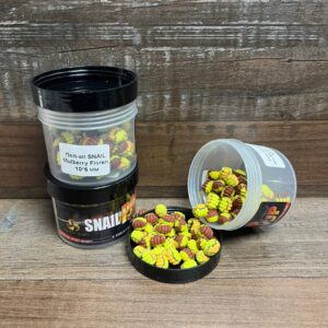 SNAIL MULBERRY FLORENTINE